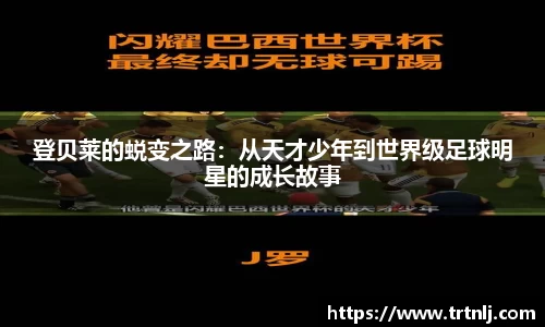 yy易游体育